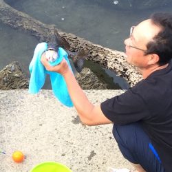 久々のチヌにたにもっさん。歓喜する